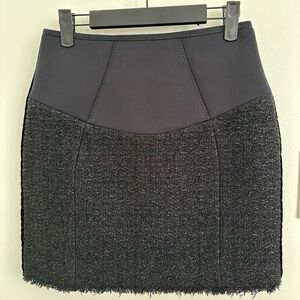 Alexander Wang skirt